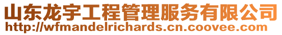 山東龍宇工程管理服務(wù)有限公司