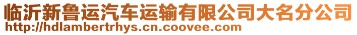 臨沂新魯運汽車運輸有限公司大名分公司