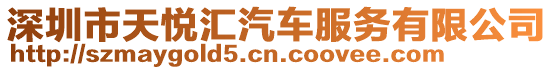 深圳市天悅匯汽車服務有限公司
