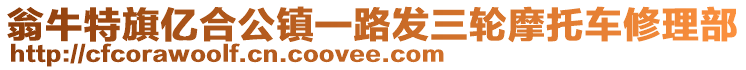 翁牛特旗億合公鎮(zhèn)一路發(fā)三輪摩托車修理部