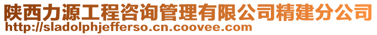 陜西力源工程咨詢管理有限公司精建分公司