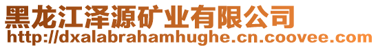 黑龍江澤源礦業(yè)有限公司