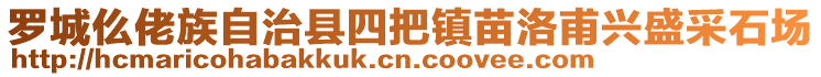 羅城仫佬族自治縣四把鎮(zhèn)苗洛甫興盛采石場(chǎng)