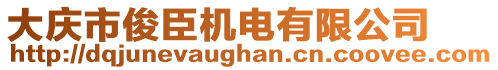 大慶市俊臣機(jī)電有限公司