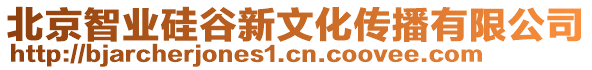 北京智業(yè)硅谷新文化傳播有限公司