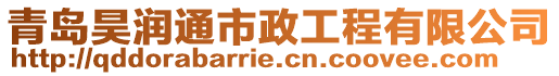 青岛昊润通市政工程有限公司