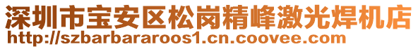 深圳市寶安區(qū)松崗精峰激光焊機店