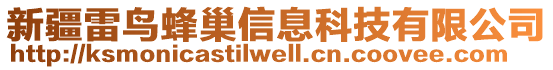 新疆雷鳥蜂巢信息科技有限公司