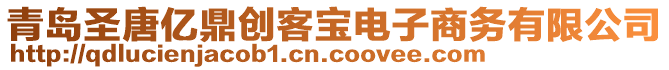 青島圣唐億鼎創客寶電子商務有限公司
