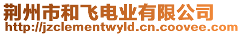 荊州市和飛電業(yè)有限公司