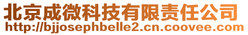 北京成微科技有限責(zé)任公司