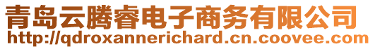 青島云騰睿電子商務(wù)有限公司