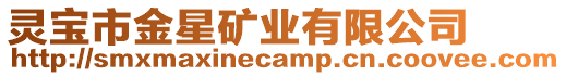 靈寶市金星礦業(yè)有限公司