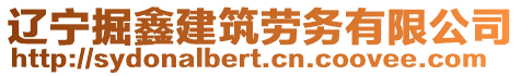 遼寧掘鑫建筑勞務(wù)有限公司