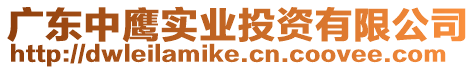 廣東中鷹實業投資有限公司