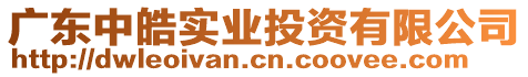廣東中皓實業投資有限公司
