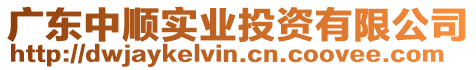 廣東中順實業(yè)投資有限公司