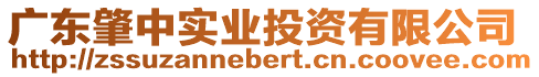 廣東肇中實業(yè)投資有限公司