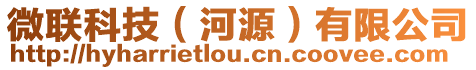 微聯(lián)科技(河源)有限公司