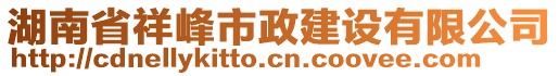 湖南省祥峰市政建設(shè)有限公司