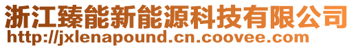 浙江臻能新能源科技有限公司