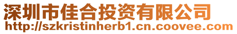 深圳市佳合投資有限公司