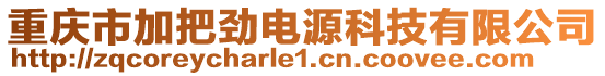 重慶市加把勁電源科技有限公司