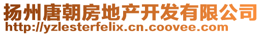 揚(yáng)州唐朝房地產(chǎn)開(kāi)發(fā)有限公司