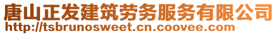 唐山正發(fā)建筑勞務(wù)服務(wù)有限公司