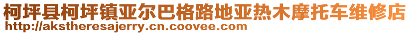 柯坪縣柯坪鎮亞爾巴格路地亞熱木摩托車維修店