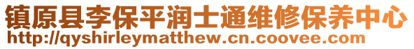 鎮(zhèn)原縣李保平潤士通維修保養(yǎng)中心