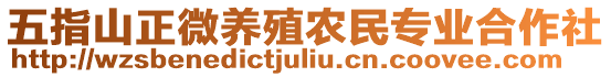 五指山正微養(yǎng)殖農(nóng)民專業(yè)合作社