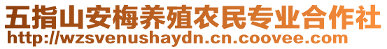 五指山安梅養(yǎng)殖農(nóng)民專(zhuān)業(yè)合作社