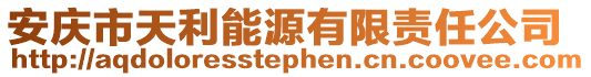 安慶市天利能源有限責(zé)任公司