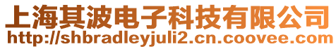 上海其波電子科技有限公司