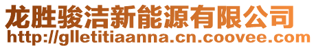 龍勝駿潔新能源有限公司