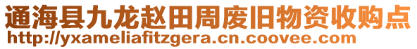 通海縣九龍趙田周廢舊物資收購(gòu)點(diǎn)