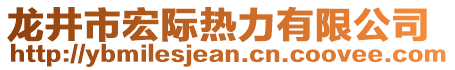 龍井市宏際熱力有限公司