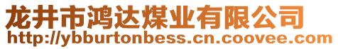 龍井市鴻達(dá)煤業(yè)有限公司