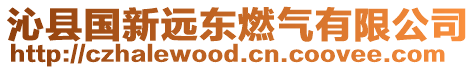 沁縣國新遠東燃氣有限公司