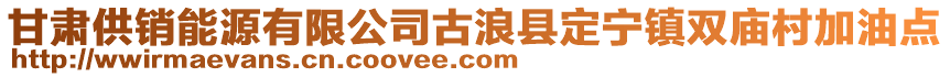 甘肅供銷能源有限公司古浪縣定寧鎮(zhèn)雙廟村加油點(diǎn)