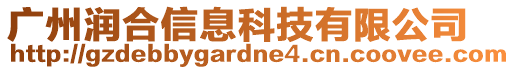 廣州潤合信息科技有限公司