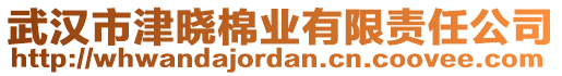 武漢市津曉棉業(yè)有限責任公司