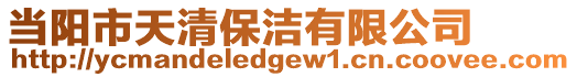 當(dāng)陽市天清保潔有限公司