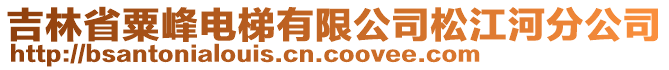 吉林省粟峰電梯有限公司松江河分公司