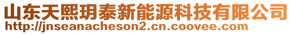 山東天熙玥泰新能源科技有限公司