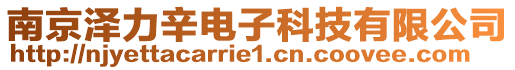 南京澤力辛電子科技有限公司