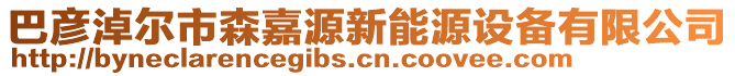巴彥淖爾市森嘉源新能源設備有限公司