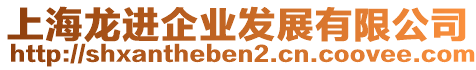 上海龍進(jìn)企業(yè)發(fā)展有限公司