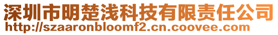 深圳市明楚淺科技有限責任公司